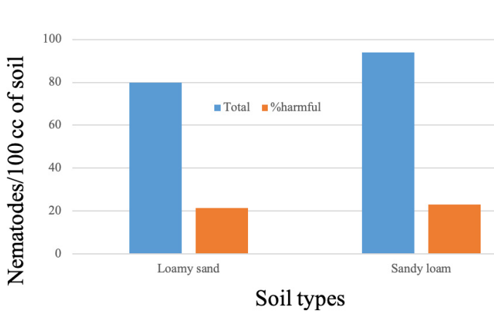 Managing Nematodes fig6